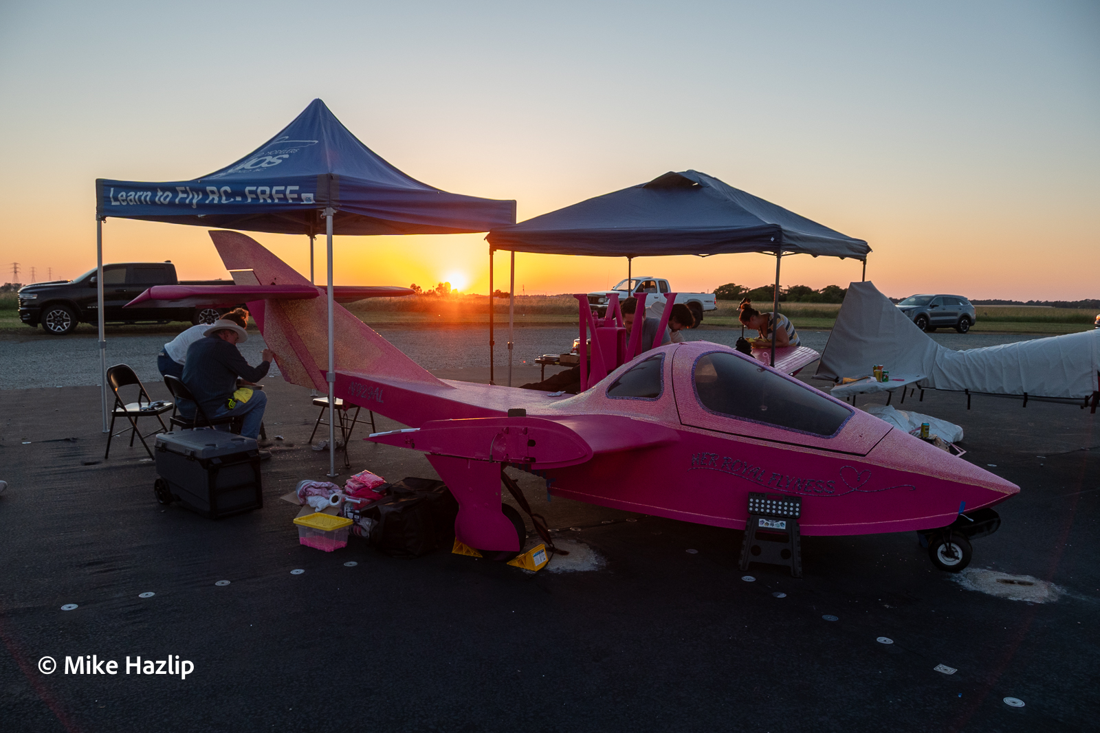 Meet ‘Her Royal Flyness’: The First Bedazzled Airplane